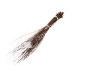 Метла березовая, РБ